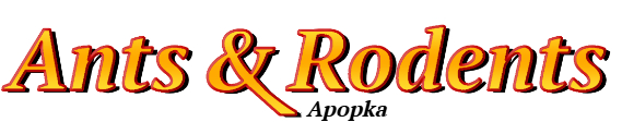 Apopka Ant Exterminator & Rodent Control Company Logo